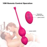 The Swing Kegel Ball - Image 5