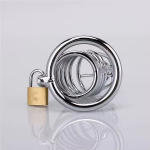 Chastity Cage - Image 4