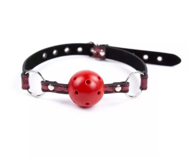 Luxury Mouth Gag - Image 1