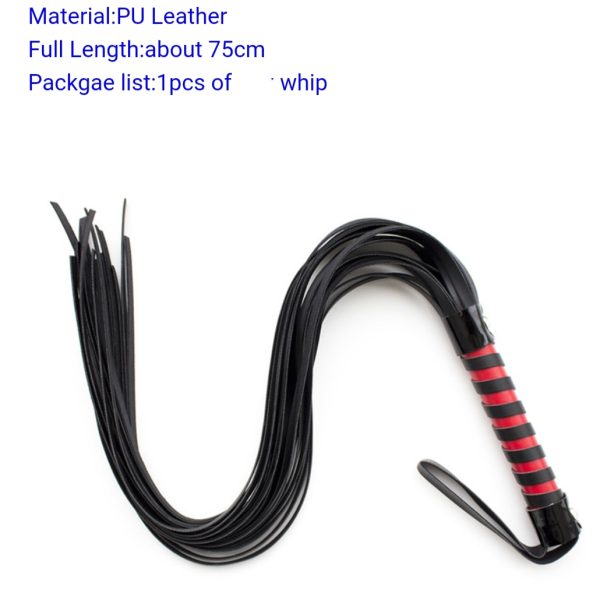 Long whip - Image 2