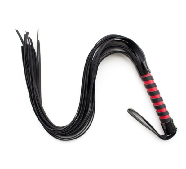 Long whip - Image 1