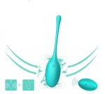 Kitty Kegel Vibrator