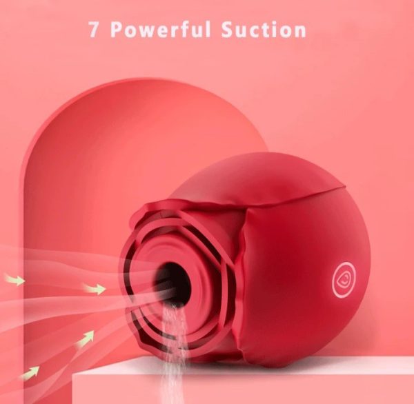 Rose sucker - Image 4