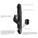 Mr. Terry II - Image 4