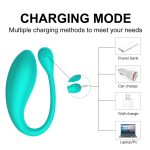 Mary Remote controlled vibrator - Image 3