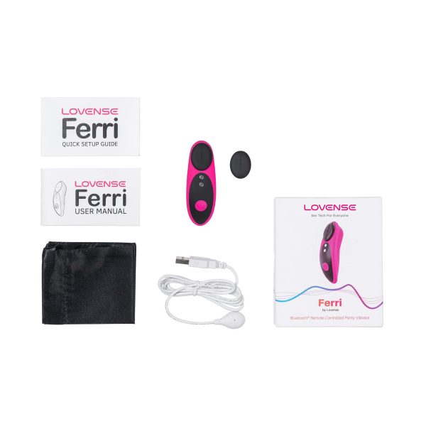 Lovense Ferri - Image 5