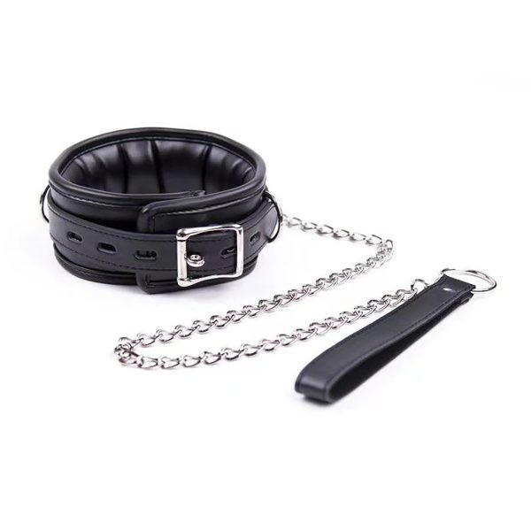 Leash and Collar - Image 1
